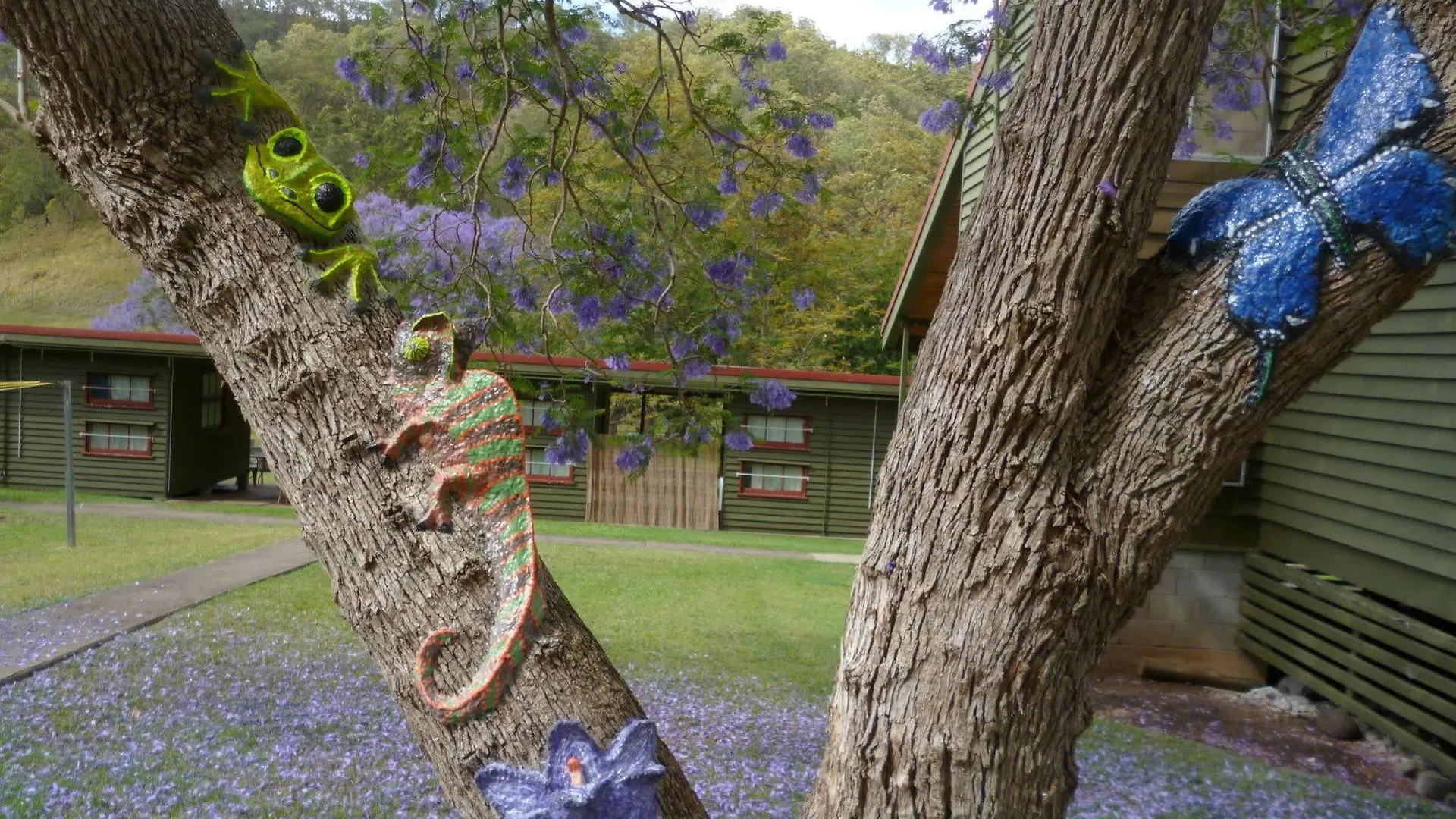 Christmas Creek Cafe & Cabins Lamington Homestay